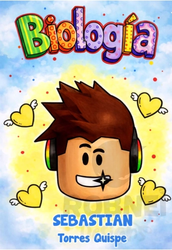 Roblox Caratula 14